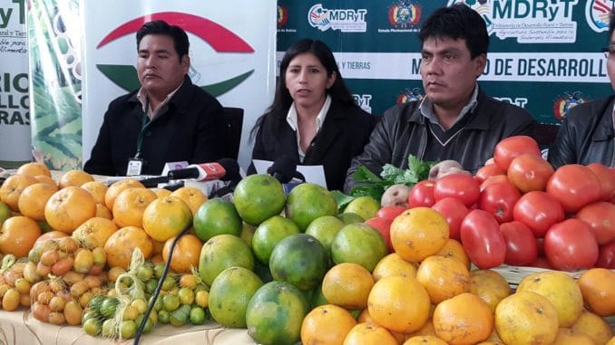 Alimentos ecologicos