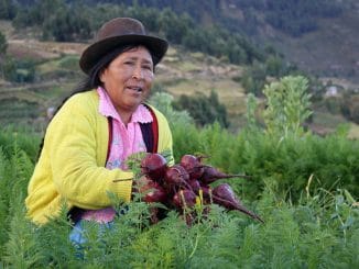 Agricultura Bolivia