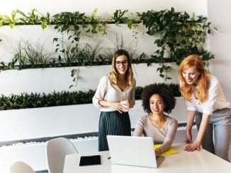 Business team working on the project