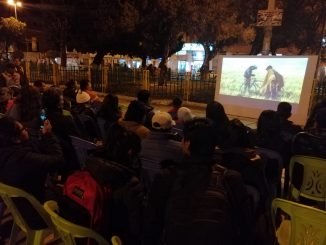 Cine