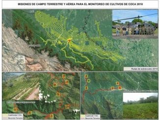 Cultivos Coca Bolivia