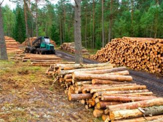 Madera