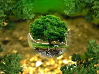 Medioambiente