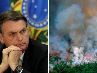 Bolsonaro Amazonas