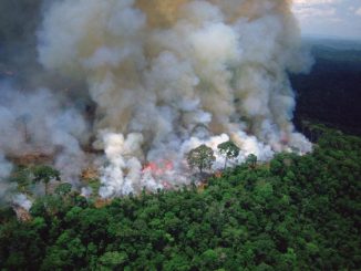 Incendios