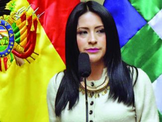Ministra de Culturas y Turismo, Wilma Alanoca