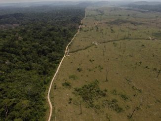 Amazonas