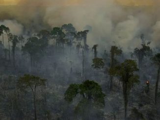 Amazonía
