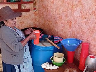 Chicha, Bolivia