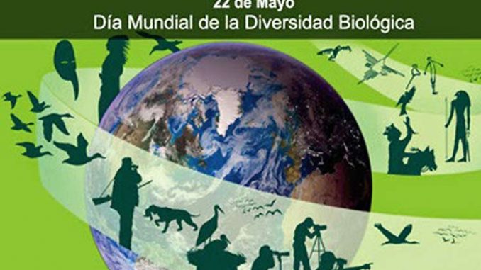 Dia-Internacional-Diversida (1)