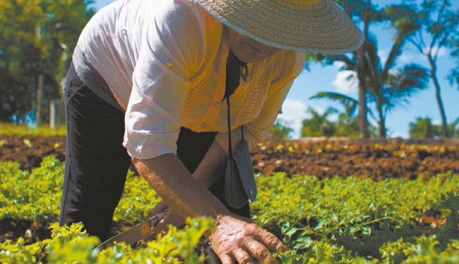 Agroecología