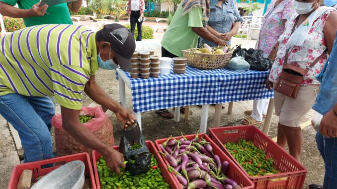 Alimentos