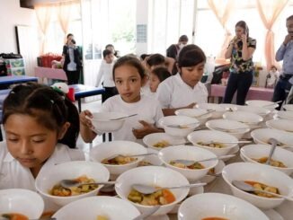 Alimentación