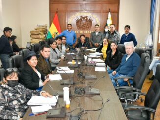 Comision Mixta de Constitucion