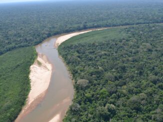Rio amazona
