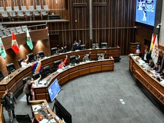 Senado