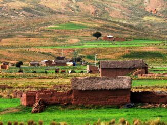 Hectáreas área rural
