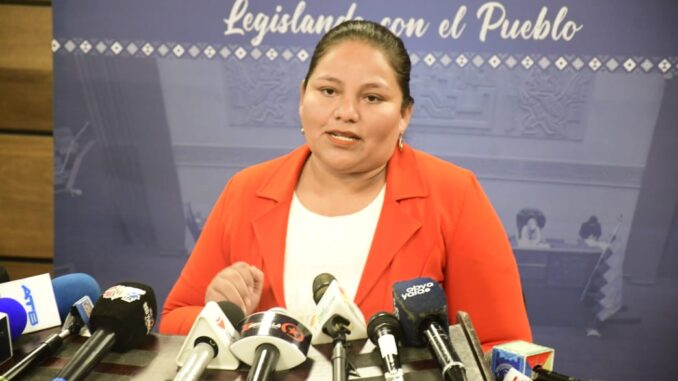Deisy Choque