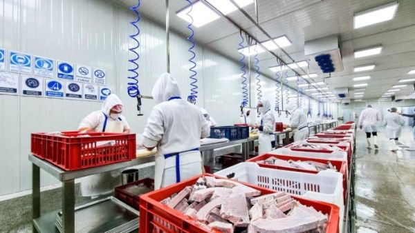 venezuela-Soberanía alimentaria