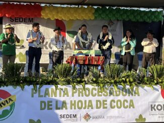 Kokabol Desarrollo productivo