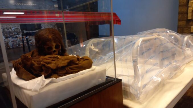 Museo