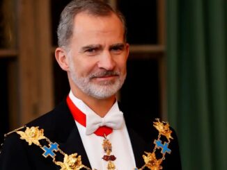 Rey Felipe VI