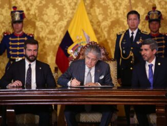 Lasso firma