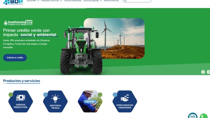 bdp (1)