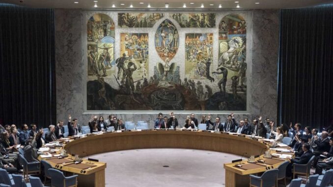 Security Council meetingMaintenance of international peace and security