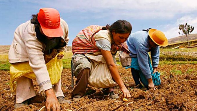 Mujer rural trabajo agrcrícola
