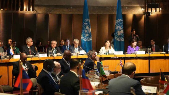 Ecosoc-1-1