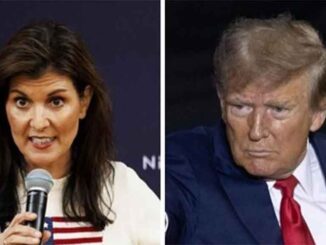 Haley trump