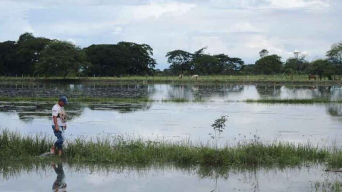 Ecuador-agricultura-lluvias-1