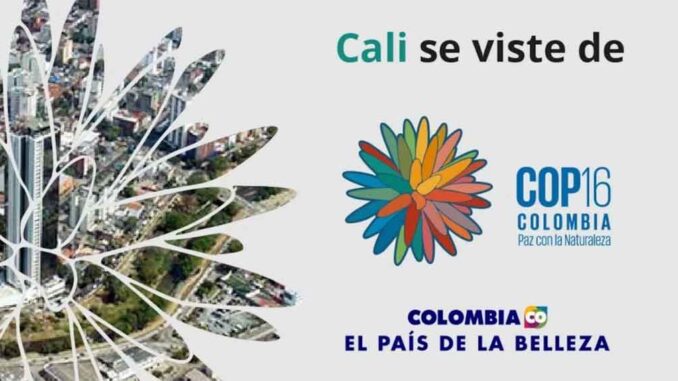 Colombia-cop16-1