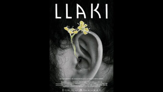 llaki2_1