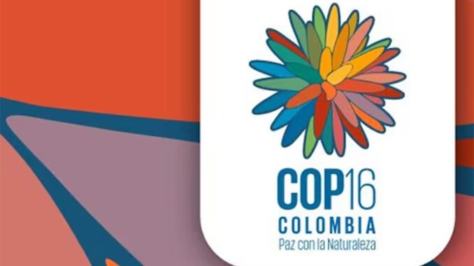 COP16