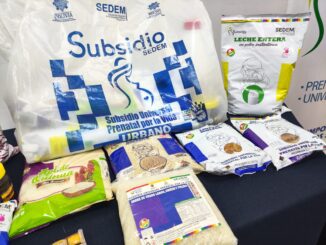Subsidio