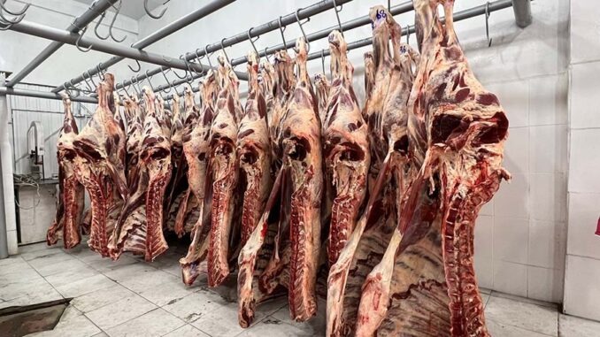 carne