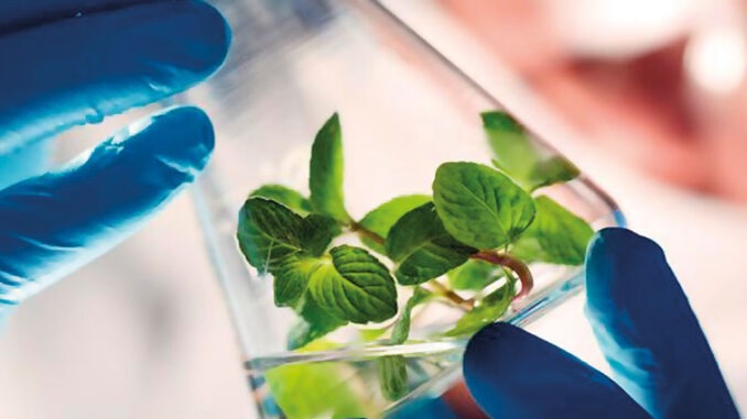 Biotecnología