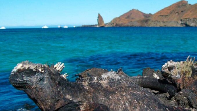 Galapagos