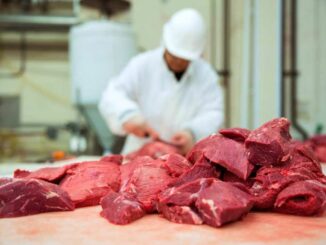 Carne