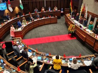 SENADO2025