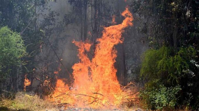 Incendios