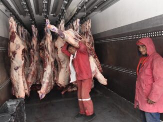 Carne
