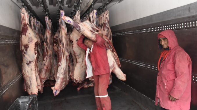 Carne