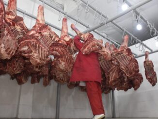 Carne