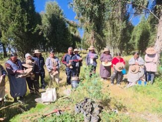PLANE