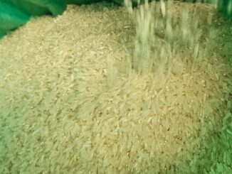 Arrozc
