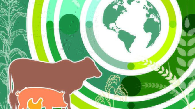 OECD-FAO Agricultural outlook 2025-2034