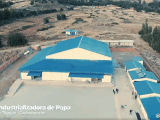 PLPAPA